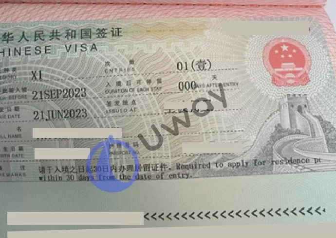 Студенческая китайская виза категории Х1 фото как выглядит
